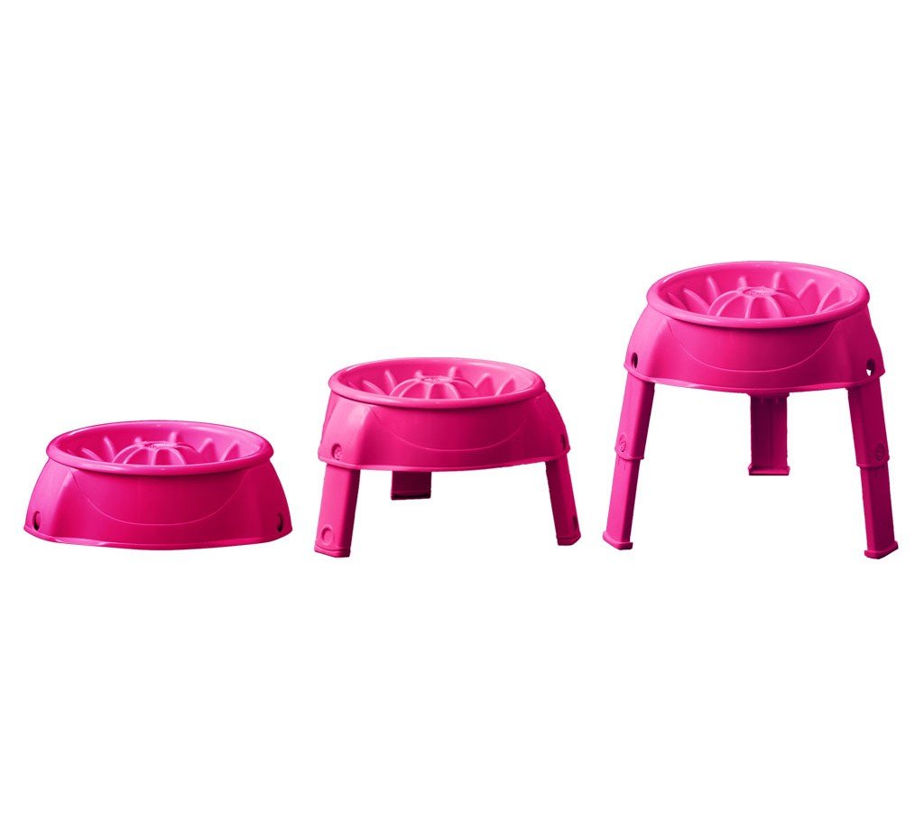 freudentier dog collar