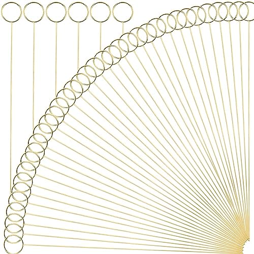 H&W 12L Golden Ring Loop Round Shape Card Holders 40PCS Floral Picks Clips for Wedding & Flower Arrangements DIY Craft Wire Clip Table Card Holders Note Photo Picture Memo Holder Cake Topper (Ring)