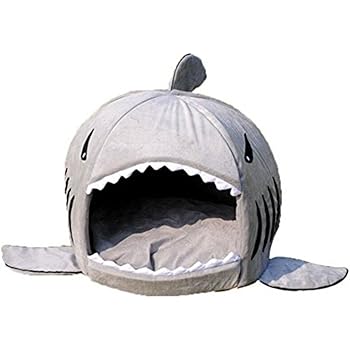 precious pets memorial service