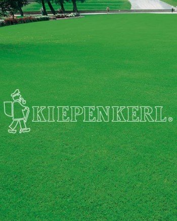 Kiepenkerl 4000159801004 RSM 1.1.1 Zierrasen Edel 10 kg