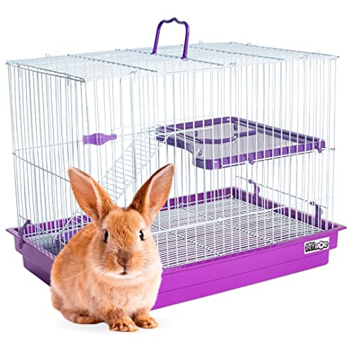 GAIOLA PARA COELHO PORQUINHO DA INDIA E CHINCHILA COM ANDAR LILÁS