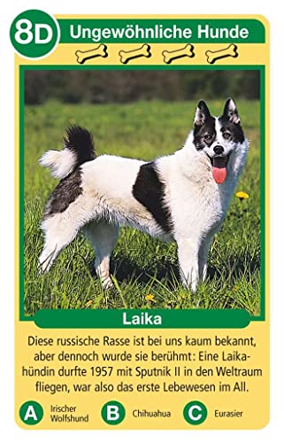 Ravensburger 20420 - Tierquartett Hunde, Klassiker für 3-6 Spieler ab 4-12 Jahre, 32 Hunderassen