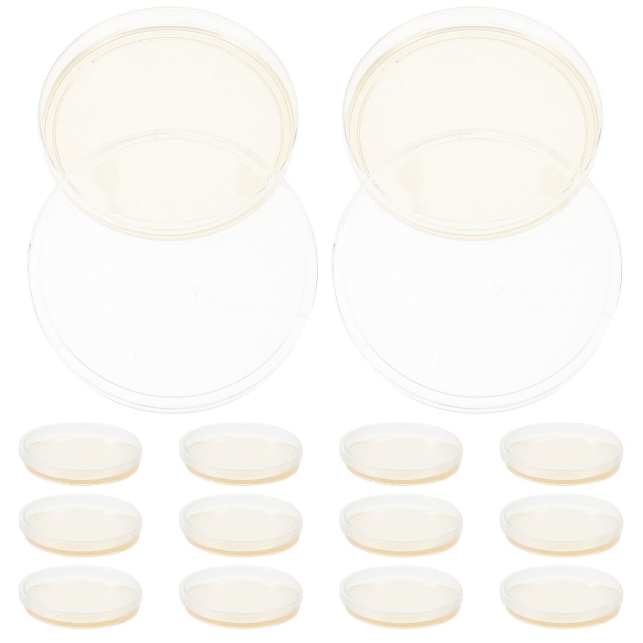 Placas de Petri Redondas Tamaño 9 Cm de Agar Nutritivo 20 Material PS para Cultivo Estable de Microorganismos para Científicos en
