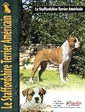 american staffordshire terrier a vendre  Le Staffordshire terrier américain