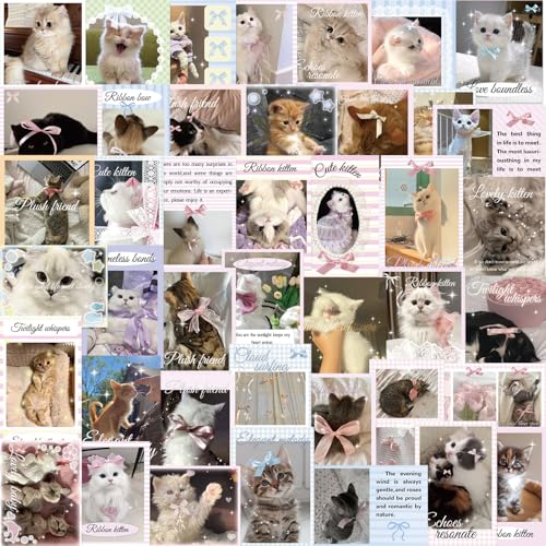 50枚入り バレリーナ キャット カートゥーン ステッカー 防水 ギター ノート スーツケース デコレーション 可愛い