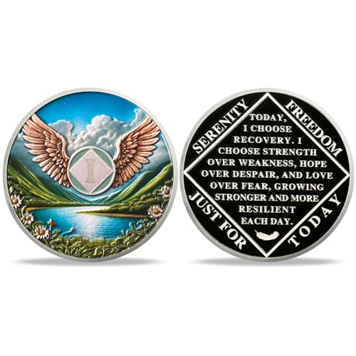 Moeda de sobriedade NA de 1 ano - Medalhões NA com asas e chips de sobriedade cênica NA Coins - Pres