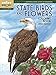 BOOST State Birds and Flowers Coloring Book (BOOST Educational Series)