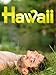 Hawaii (English Subtitled)
