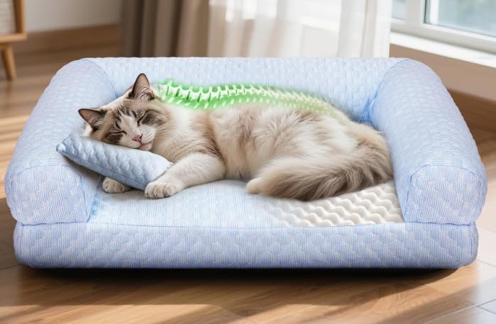 Cat Beds for Indoor Cats, Summer Cooling Pet Sofa Bed, Washable Medium Pet Bed for Puppy and Small to Large Kitten with Anti-Slip Bottom