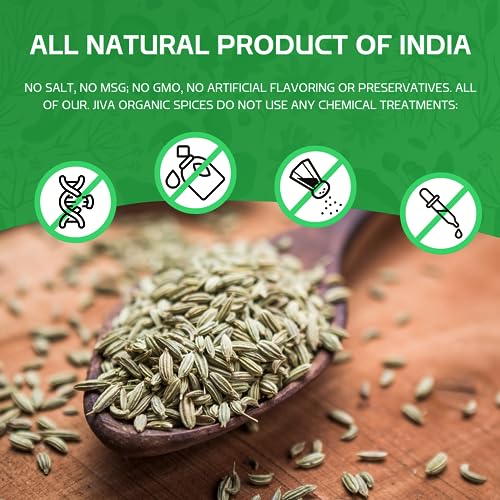 Organic Fennel Seeds 1.75 LB LARGE Bulk Bag - Gluten Free, Non GMO, For Fennel Tea and Cooking - Non Irradiated by Jiva Organics