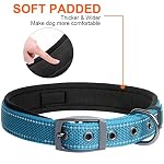 Fida Heavy Duty Dog Collar, Ultra Comfortable Soft Neoprene Padded, Adjustable Reflective Nylon Pet Collar with Durable Metal Belt Buckle for Small Breeds (S, Blue) - Image 4