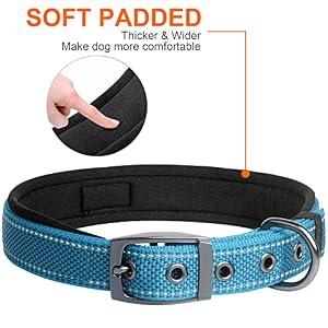 Fida Heavy Duty Dog Collar, Ultra Comfortable Soft Neoprene Padded, Adjustable Reflective Nylon Pet Collar with Durable Metal Belt Buckle for Medium Breeds (M, Blue)