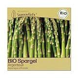 Samenliebe BIO Spargel Samen | französischer Argenteuil - grün & winterhart - samenfestes BIO Saatgut