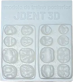 MODELO DE ODONTOLÓGICO PARA TREINO DE RESTAURAÇÕES, PREPAROS CAVITARIOS, ANATOMIA DENTAL