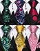 Barry.Wang 6 PCS Men Ties Set Silk Business Fashion Woven Necktie Handkerchief Cufflinks Paisley Stripe Wedding Party