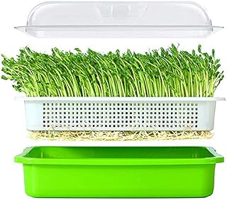 BIGHAVE Seed Sprouter Tray with Lid BPA Free Bean Sprout Grower Germination Kit Wheatgrass Grower