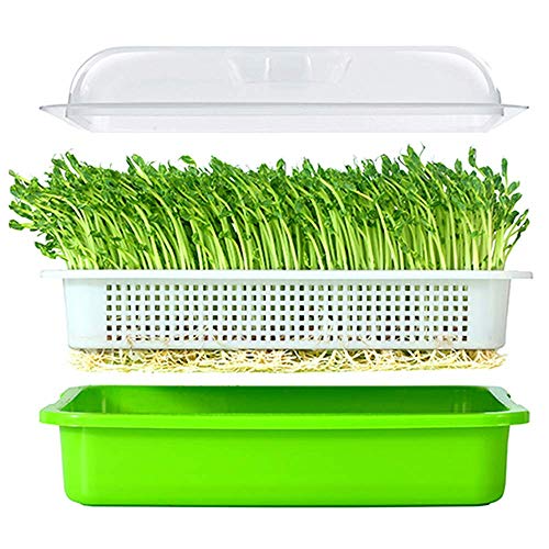 Image of 2 Pack of BPA Free Home Microgreen Soilless Hydroponics Seed Sprouter Grow Tray with Cover + Free Spray Bottle and 20 Sheets Growing Paper