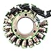 Road Passion Magneto Stator Ignition Coil for Suzuki DR-Z400 2000-2017 / LTZ400 2003-2008 / DR-Z400E S/DR-Z400S 2000-2009 / DR-Z400E 2004-2009 / DR-Z400SM 2005-2009