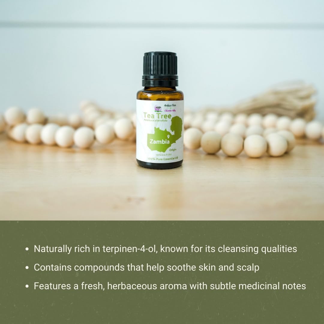Tea Tree Essential Oil - Direct from Arulussa Farm Zambia - Steam Distilled - Aceite Esencial de Árbol de Té for Aromatherapy, Massage, Diffuser, DIY Candle and Soap Making - 2lbs