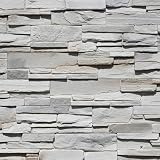 STEGU Grenada 2, Rivestimento Pietra Decorativa, Pannelli Parete Effetto Pietra Naturale, Rivestimento Interno & Esterno Resistente al Gelo, 55 x 11,7 cm, 0,32 m² 5 Pezzi, Grigio