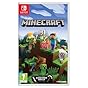 Minecraft for Nintendo Switch - Standard Edition : Amazon.ca ...