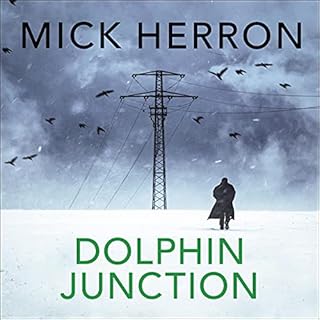 Dolphin Junction cover art