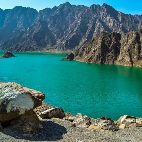 Effective Cockroach Control in Hatta Dubai &ndash; Expert Pest Management Tips, Professional Inspection & Advanced Treatments by Accurate Pest Control Services LLC