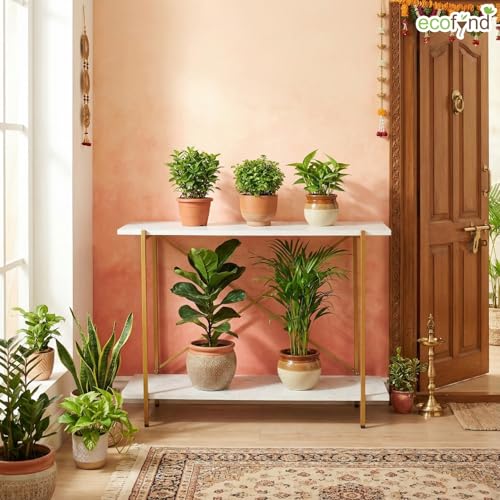 Image of ecofynd Elix Jr Plant Stands for Balcony, Flower Pot Stand for Indoor Plants, 2 Tier Long Wood Planter Stand for Living Room, home decor, Indoor & Outdoor plants (35 inchX9 inchX28 inch, WHTGO, CT002)