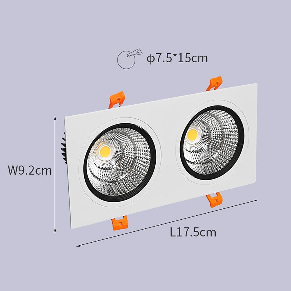 Spot encastré à 2 lumières pour Plafond, plafonnier Moderne d'intérieur, Spots directionnels pour Salon ou Couloir, luminaire sur Rail Fixe, 3000K 14W, 6000K 10W,6000k10w