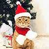 PETLESO Cat Santa Hat with Scarf, Christmas H...