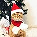 PETLESO Cat Santa Hat with Scarf, Christmas Hats for Cats Small Dog Santa Hat Christmas Costume for Cat Rabbit Puppy Doll Decoration, Red S
