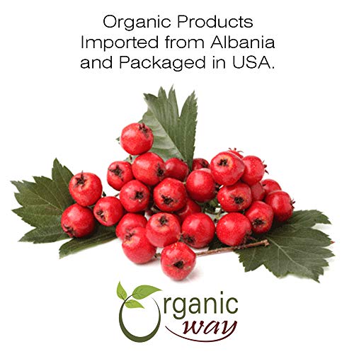 Organic Way Hawthorn Berry Powder (Crataegus Monogyna) - European Wild-Harvest | Organic & Kosher Certified | Vegan | Non Gmo & Gluten Free | Usda Certified | Origin - Albania (1/2 Lbs / 8 Oz) #TOP2
