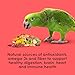 Kaytee Fiesta Parrot Food, Nutritious and Fun Blend, Supports Skin, Feather, Digestion, Brain and Heart Health, 2.5 pounds