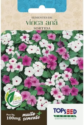 Kit 4 Pacotes Sementes Vinca Anã Sortida Topseed Garden 100mg
