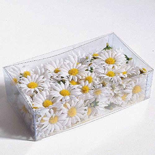 Margherite strame bianco-giallo 2,5 cm + 4,5 cm