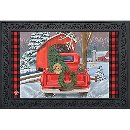Briarwood Lane Winter Puppy Pickup Doormat Christmas Indoor Outdoor 30" x 18"