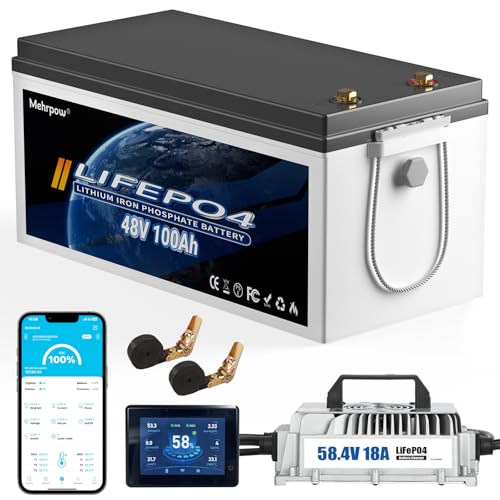 Mehrpow 48V 100Ah Lithium Battery