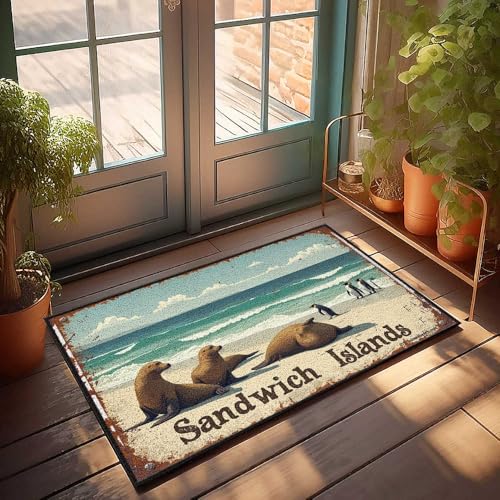 FZFN Outdoor-Bar-Zubehör, Dekoration, Pinguine und Robben, zum Entspannen am Strand auf Sandwichinseln, Fußmatte, für den Eingangsbereich, 40 x 60 cm