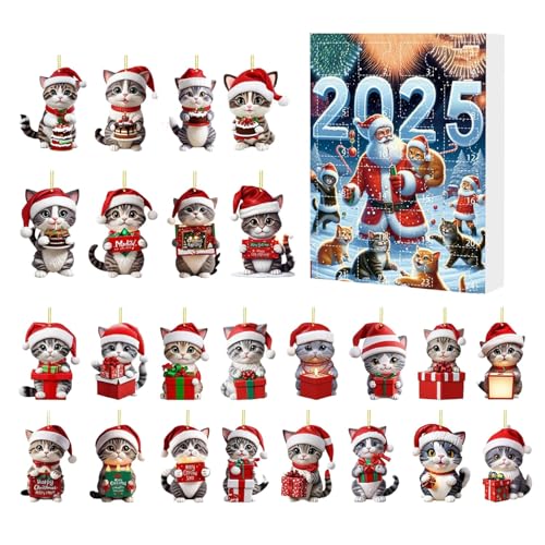 Calendrier de l'Avent chaton de Noël, le cadeau idéal pour fête d'anniversaire