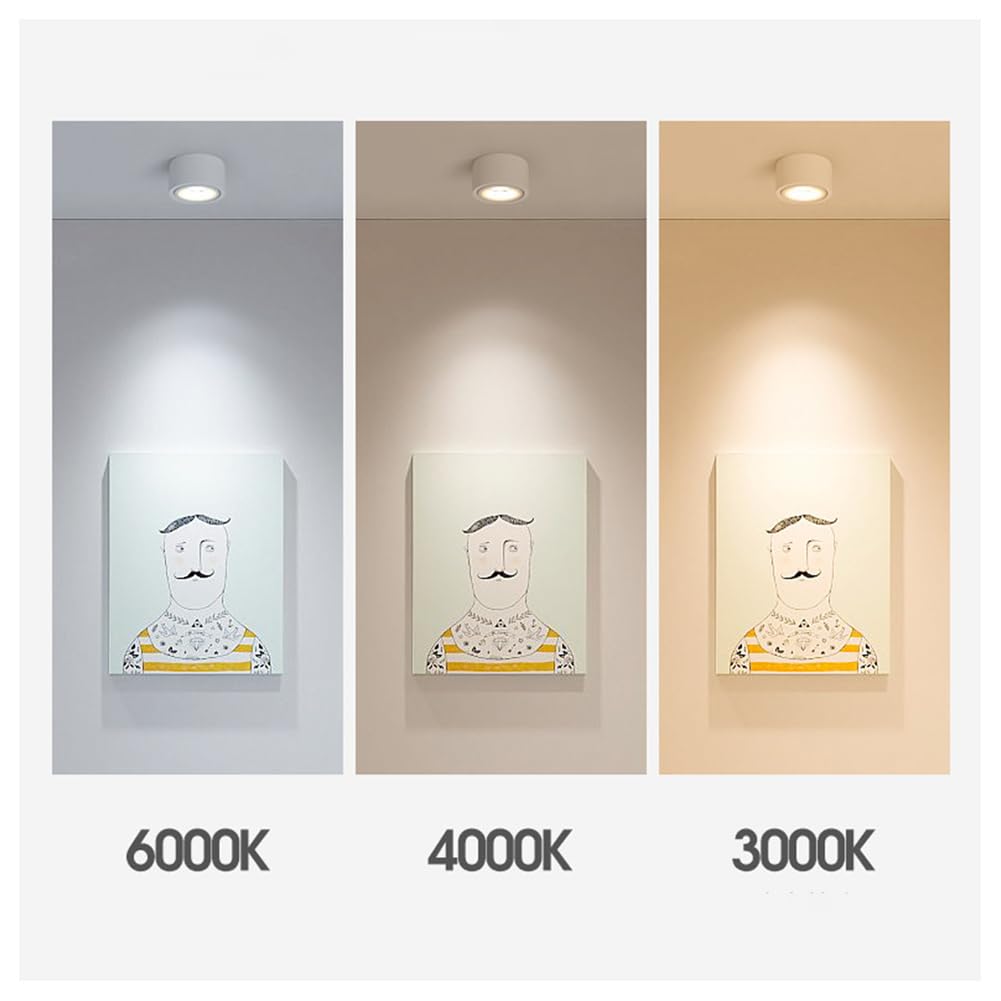 Opaeroo 2Pcs LED Spotlight Mounted Spotlight Lamp COB Ceiling Spots 7W / 10W Room Surface Mounted Recessed Light 10W White-3000K