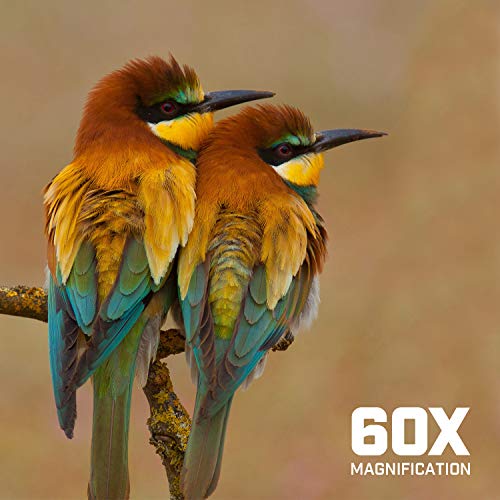 Amcrest Spotting Scope For Target Shooting W/Tripod 20-60X60Mm, Multi Coated Optical Lens, Waterproof, 36-19M/1000M, Telescope With Universal Smartphone Adapter (Amss60-G) #TOP4