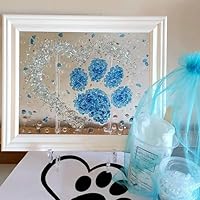 Amazon.co.jp: ZANWANXIN シーグラスアートキット DIY 樹脂ビーチ