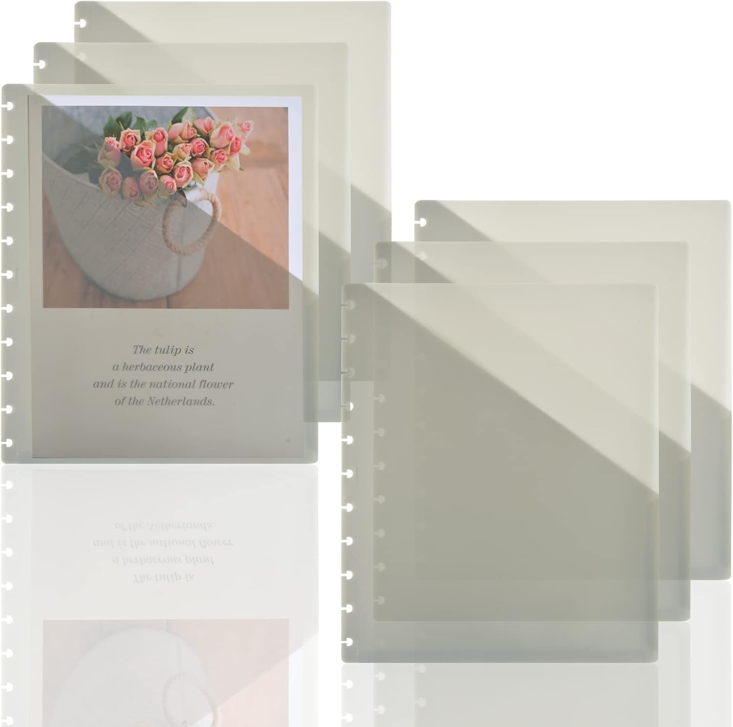 WANGDEFA 6 Pack Discbound Pocket Dividers Disc Bound Junior Size Discbound Notebook