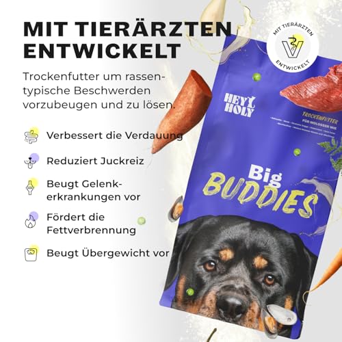 HEY HOLY Premium Trockenfutter für Molosser 100% getreidefrei | 14kg hypoallergenes Hundefutter für ausgewachsene Molosser mit Rind | Hochverträglich aus natürlichen Zutaten