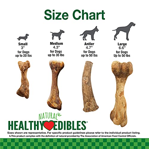Nylabone Healthy Edibles Broth Bone Hundeleckerlis, natürliche Knochenbrühe – Schinken, groß – Ansicht 5