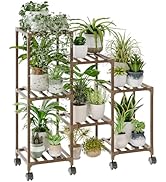 Bamworld Porta Piante da Interno Esterno Portavasi Scaffale 6 Ripiani Piedistall