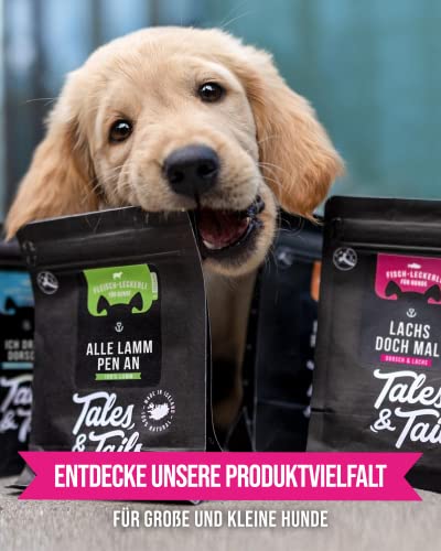 Tales & Tails Lachsöl mit Omega 3 für Hunde - Lachsflash | Ohne Künstliche Zusätze | Lachsöl für Hundefutter | 1x 240ml