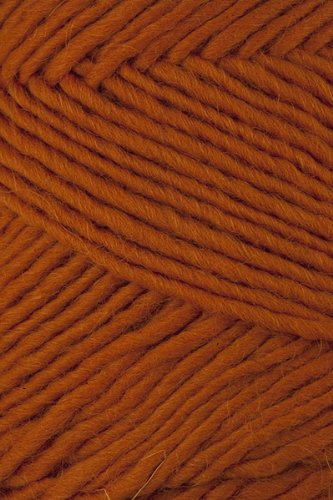 Brown Sheep - Lambs Pride Worsted Knitting Yarn - Autumn Harvest (# 22)