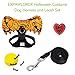 EXPAWLORER Halloween Costume Dog Harness and Leash Set with Detachable Wing and Label Adjustable Breathable Cotton Vest Black for Cats and Dogs Small