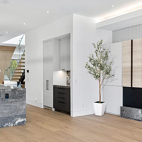 Lyerse 6Ft Artificial Olive Tree Tall Fake Potted Olive Silk Tree With Planter Large Faux Olive Branches And Fruits Artificial Tree For Office House Living Room Home Decor #TOP2